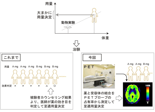 PETを用いた至適用量決定