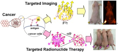 Targeted Radionuclide Therapy