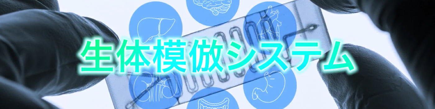 生態模倣システム