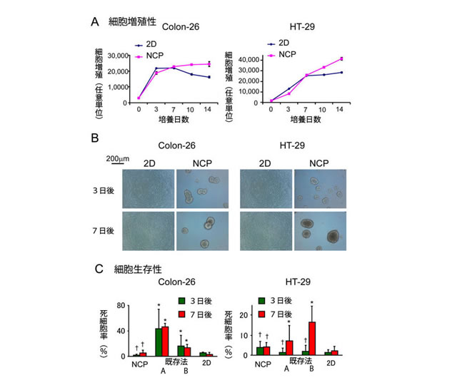 高増殖能・高生存率を保った高再現性の3Dがん細胞培養を実現の画像1