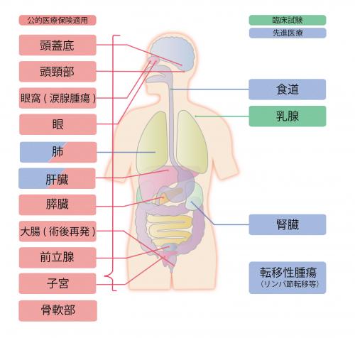 人体のイラストと適応疾患部位名称