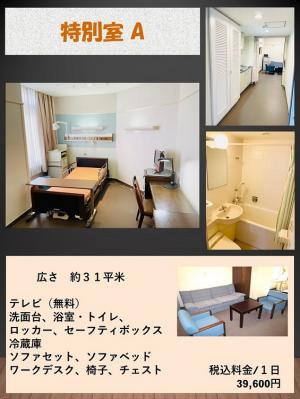 特別室A　広さ：約31平米　テレビ（無料）、洗面台、浴室・トイレ、ロッカー、セーフティボックス、冷蔵庫、ソファセット、ソファベッド、ワークデスク、椅子、チェスト　税込料金／１日　39,600円