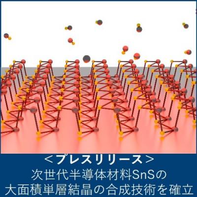次世代半導体材料SnS