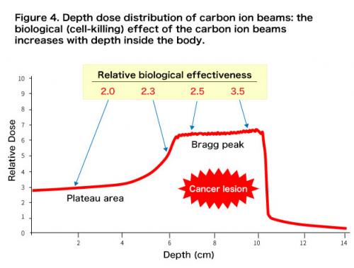 Figure 4. Depth dose distribution of carbon ion beams: the biological (cell-killing) effect of the carbon ion beams increases wi