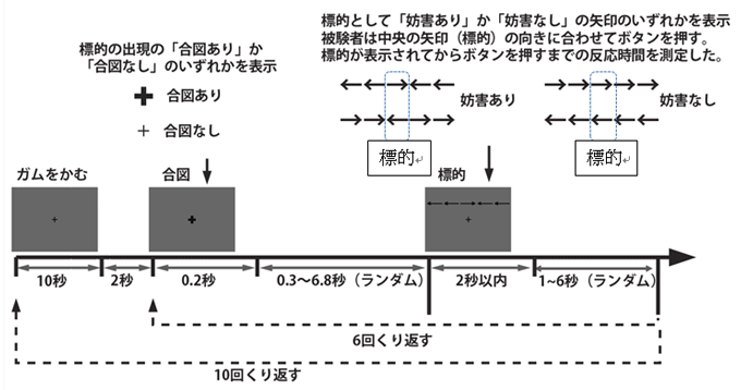 複数の注意ネットワーク（警戒と実行注意）を1回の課題で調べることができる試験