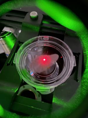 高感度ナノ量子センサの大量調製技術開発によるサプライチェーンモデルの構築