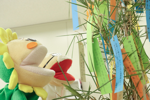 願い事をしみじみ眺めるカナちゃんとなか博士