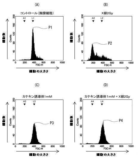 カテキン誘導体の放射線防護作用を確認した実験