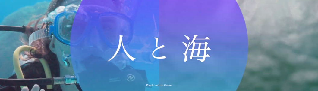 海