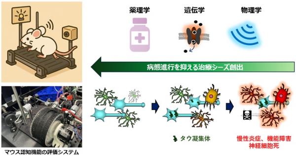 ヒト臨床研究につながる脳機能の評価法確立と治療シーズ創出