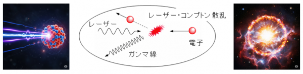 LCS gamma-ray research