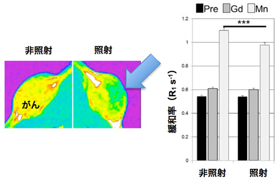 体レベルでの動物実験の画像