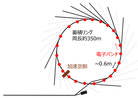 NanoTerasuで蓄積電流400mA安定運転の早期実現に成功～放射光強度を倍増し、先端研究を加速～