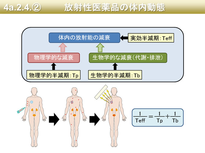 インターネット教材の画像