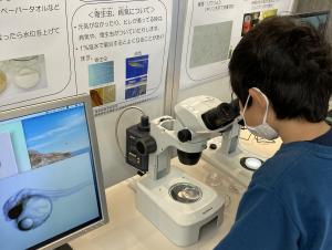 一般公開２０２５観察コーナー