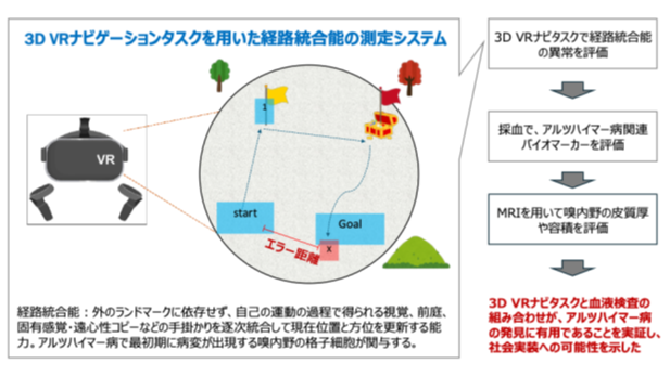 研究内容の概略図