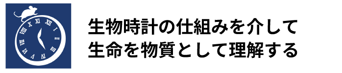 生物時計の仕組みを介して生命を物質として理解する