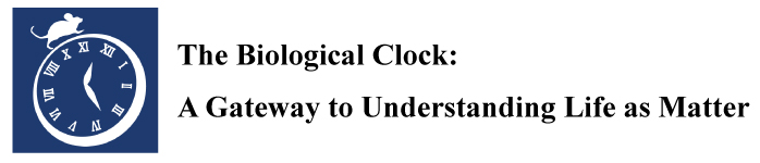 The Biological Clock: A Gateway to Understanding Life as Matter