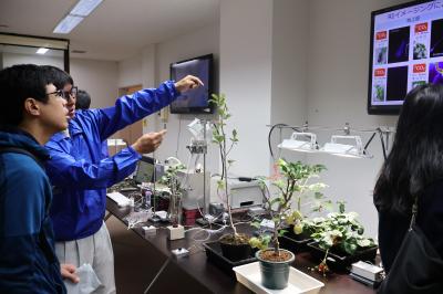 果実が甘くなるしくみを解説中