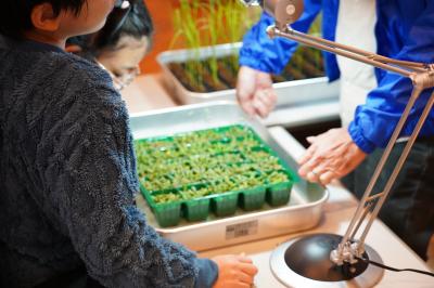 真剣に見入っています