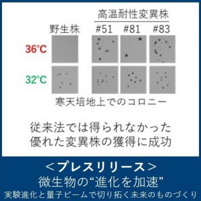 微生物の“進化を加速”　―実験進化と量子ビームで切り拓く未来のものづくり―