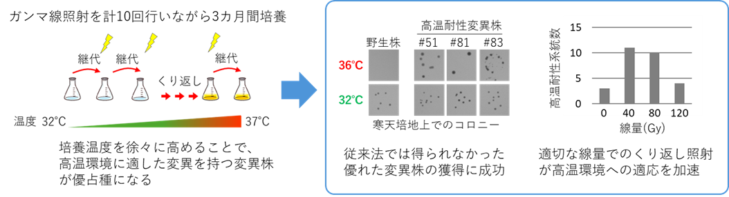 研究の手法概要図