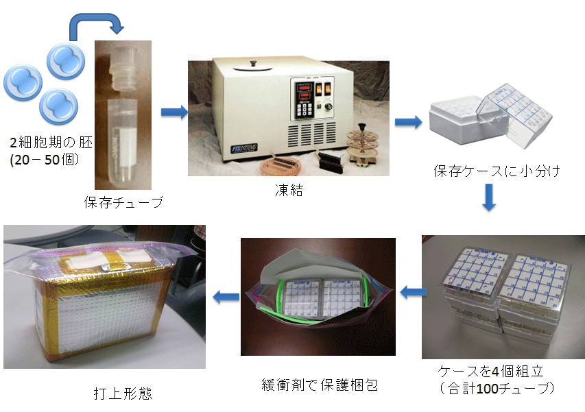 fig_02