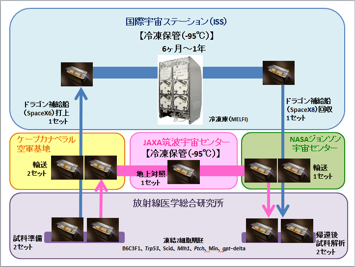 fig_02