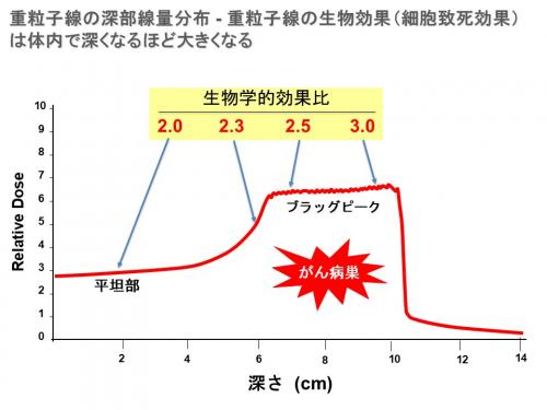 重粒子線の生体内における線量分布グラフ