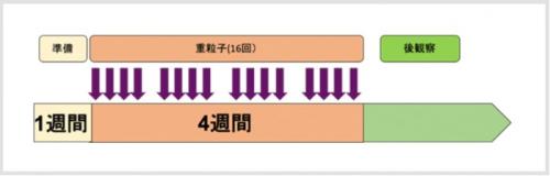 大腸がん術後骨盤内再発の治療日数イメージ