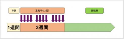 大腸がん術後腹部リンパ節再発に対する重粒子線治療日数のイメージ