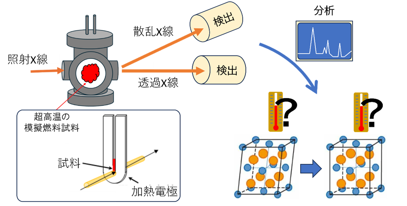 本成果の概念図