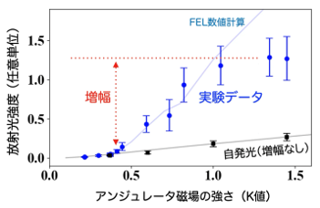 アンジュレータ磁場の強さ(K値)とXUVの放射光強度の関係