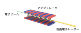 自由電子レーザーの発生原理