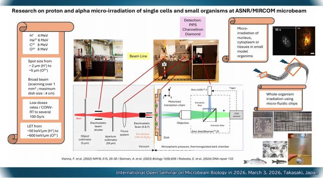 (5) ADAM-GUILLERMIN, C.