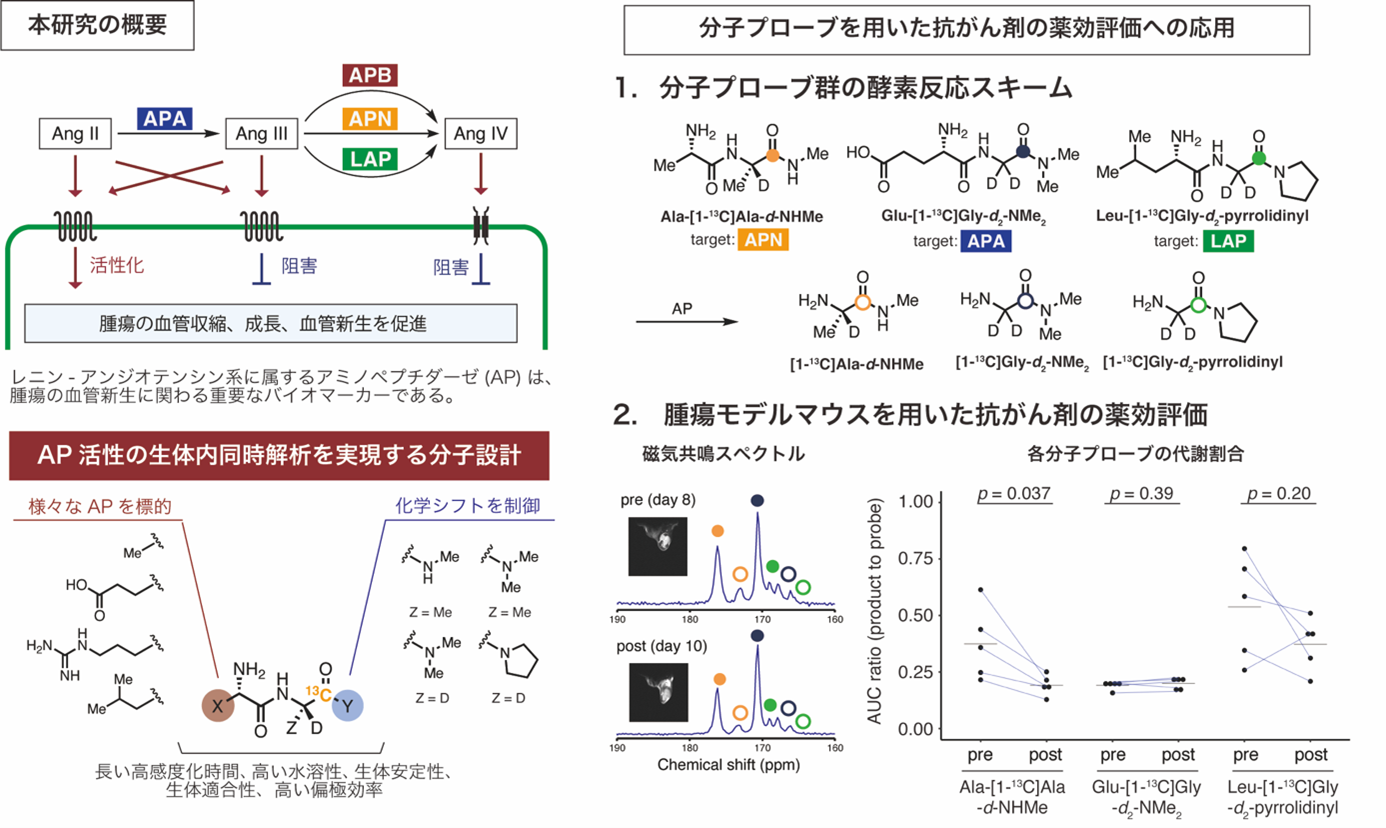 本発表の概要