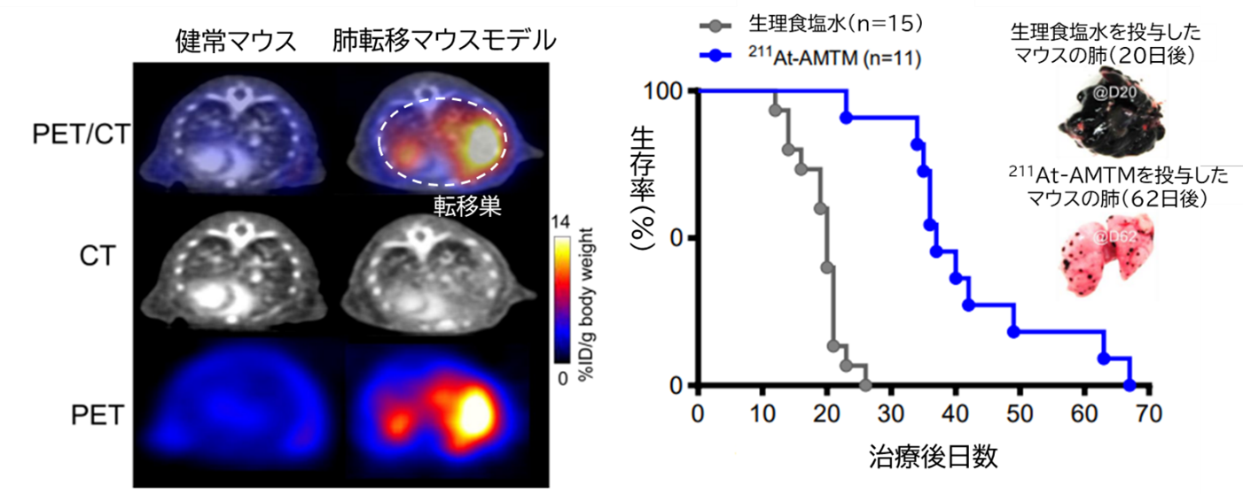 セラノスティクス評価