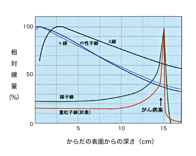 図２各種放射線の生体内における線量分布