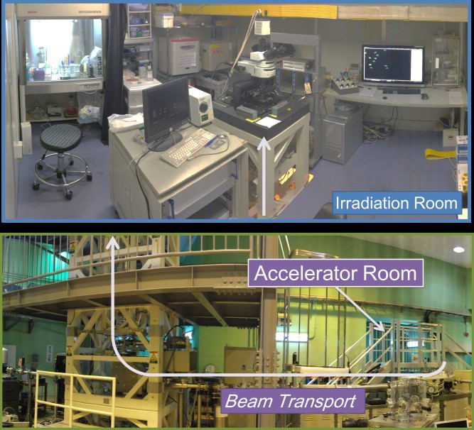 irradiation and analysis technologies using electrostatic accelerators