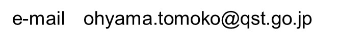 メールアドレス