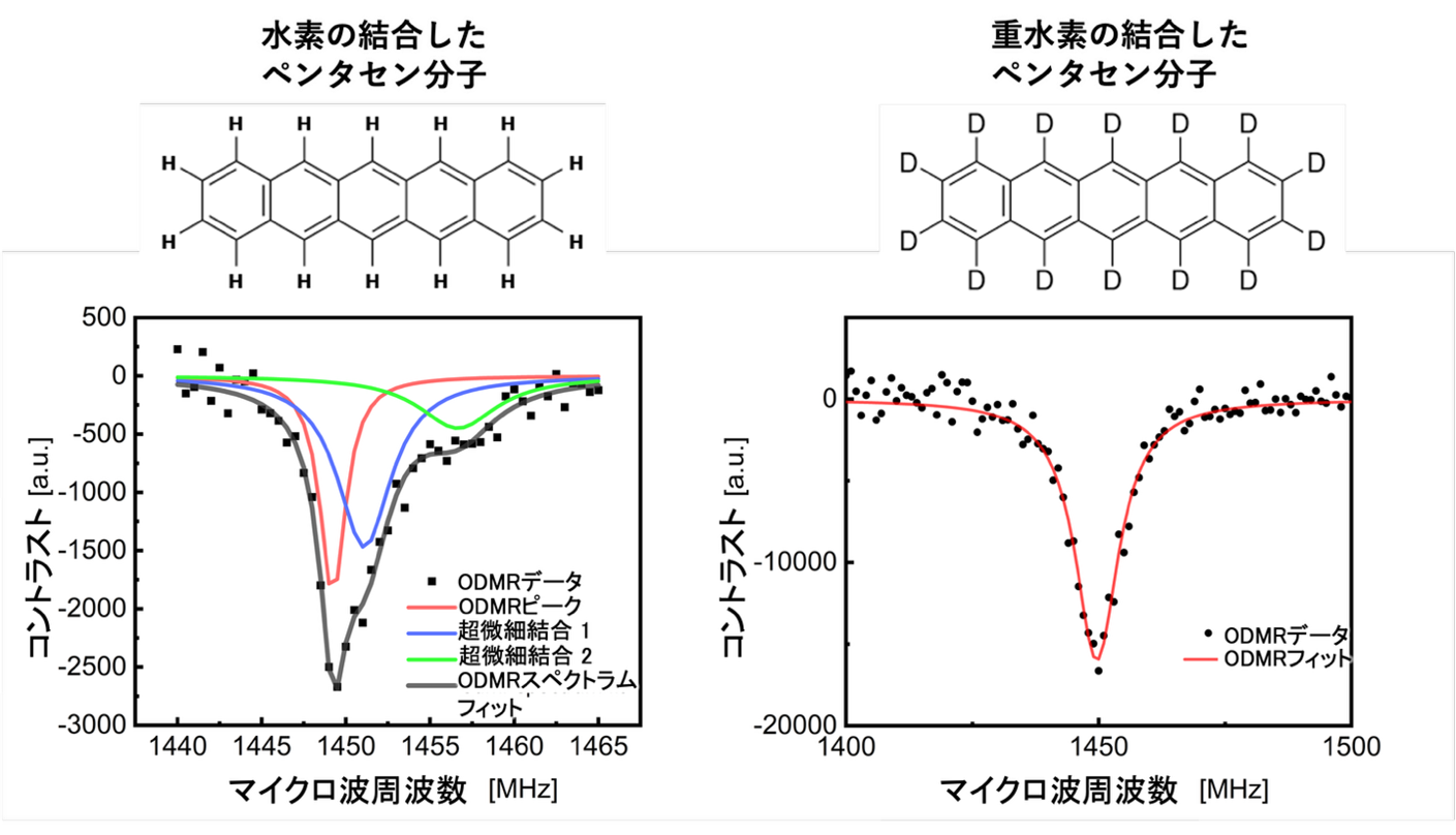 ペンタセン分子の重水素化によるODMRスペクトラムの制御