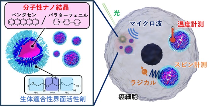 量子センシング