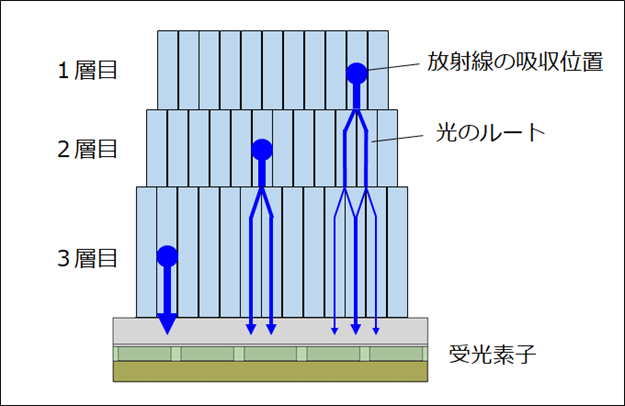 開発した検出器の構造