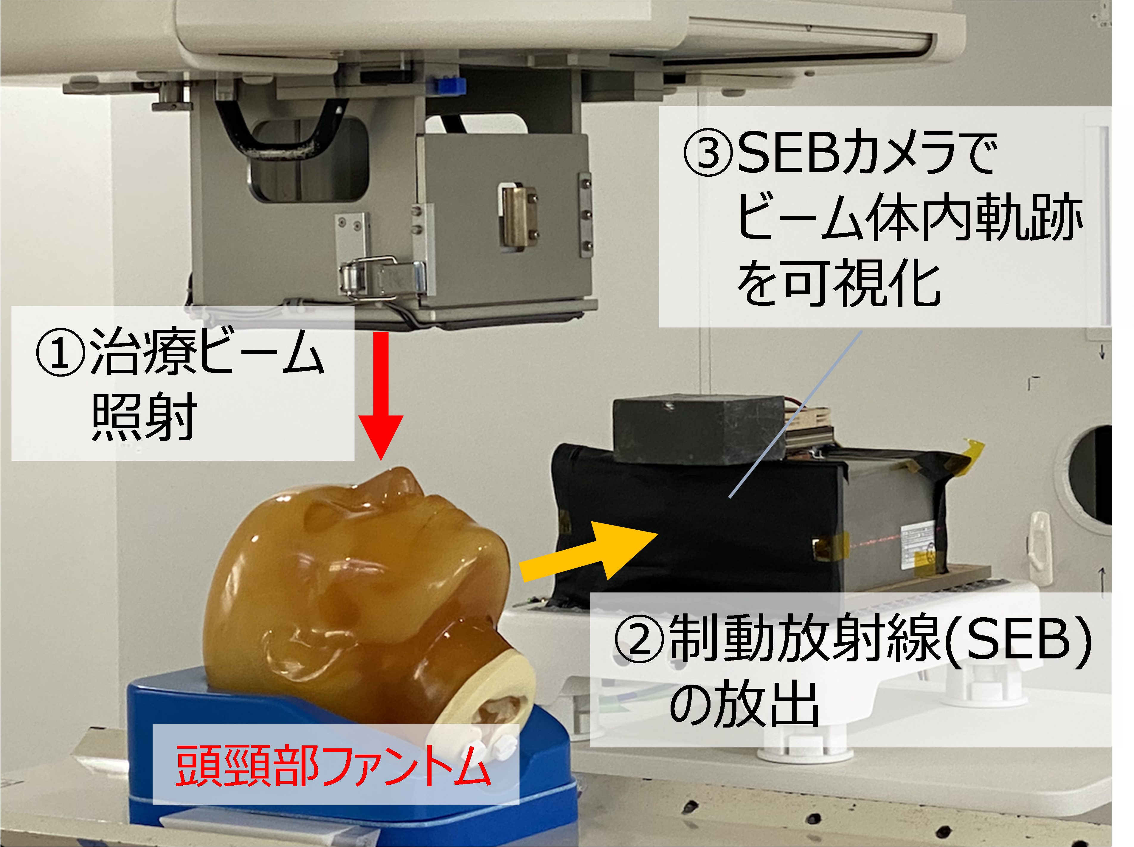 重粒子線治療ビームを可視化する独自技術を活用し頭頸部がん患者の臨床試験を開始 ～電子制動放射線を用いた世界初の技術により、治療効果の更なる向上に貢献～