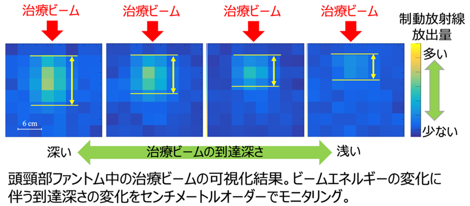 ファントム実験においてSEBカメラで取得した治療ビームの可視化結果