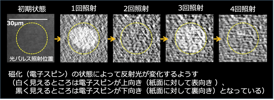 様々なエネルギーの光パルスを照射して人工フェリ磁性体が初期状態から磁化反転(光スイッチ)を繰り返す時の様子