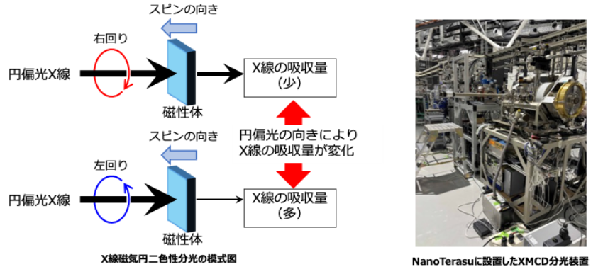XMCD
