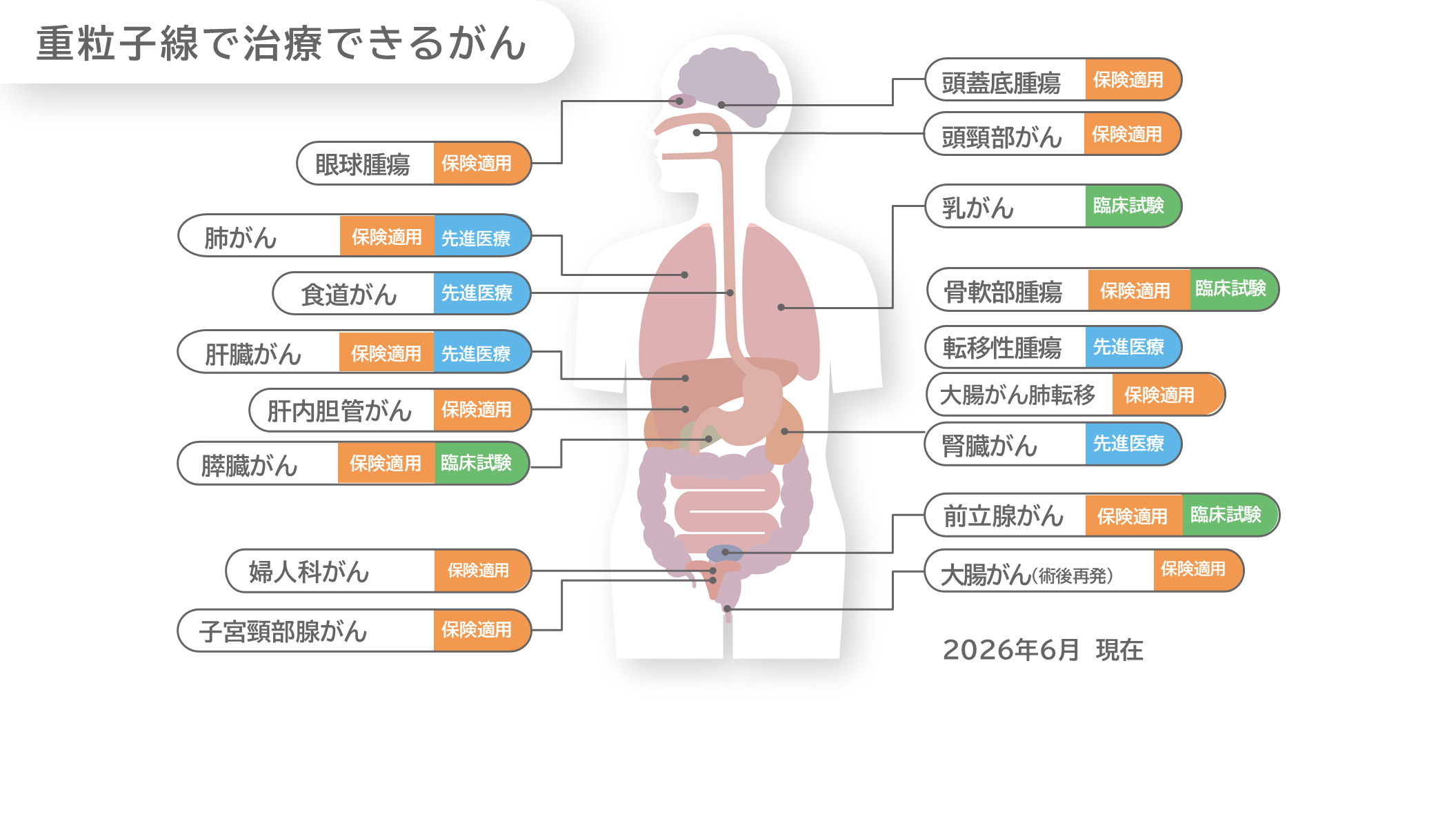 保険