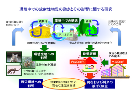 画像：環境中での放射性物質の動きとその影響に関する研究