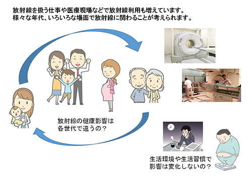 生活習慣の放射線影響への修飾効果を調べるの画像